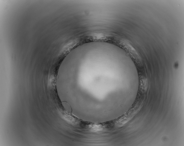 X0000099520419200805221448
