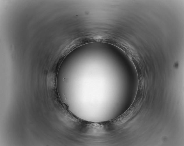 X0000099520421200805221447