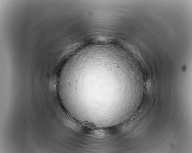 X0000099520423200805221447
