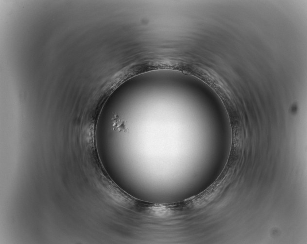 X0000099520425200805221447