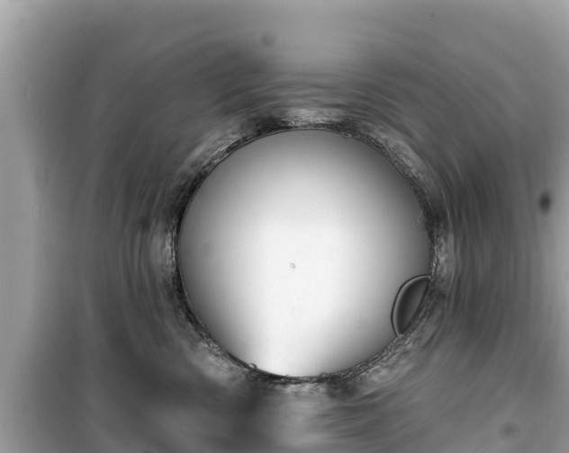 X0000099520426200805221447