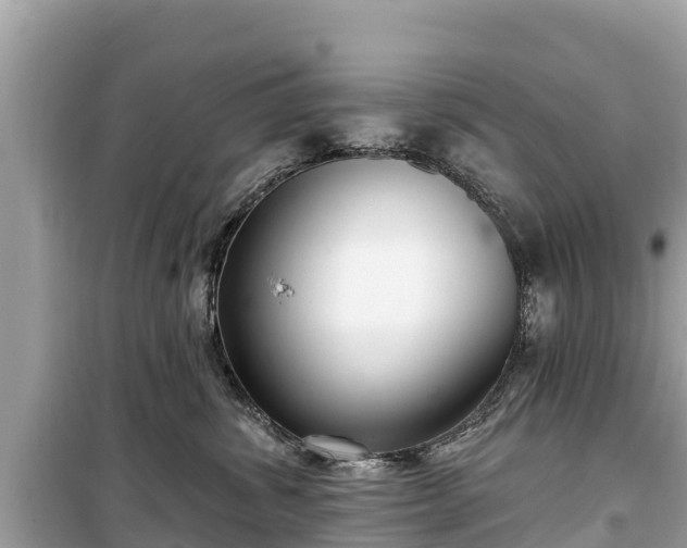 X0000099520428200805221447
