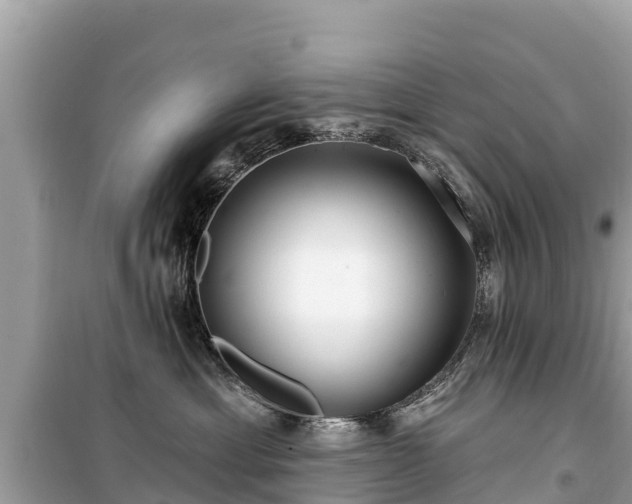 X0000099520429200805221447