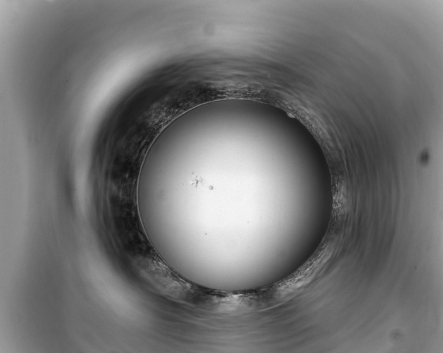 X0000099520430200805221447