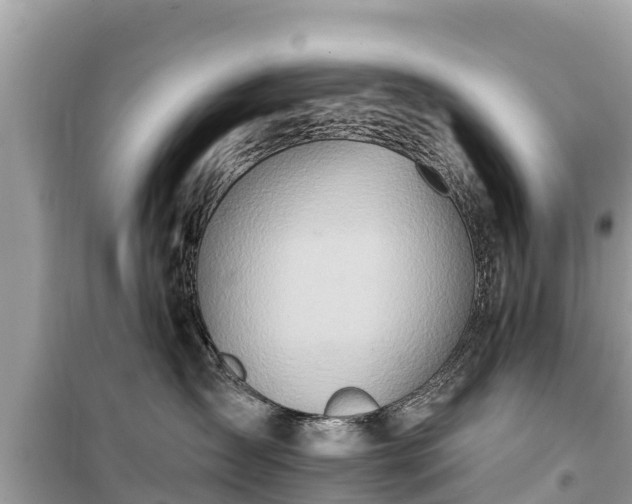 X0000099520431200805221447