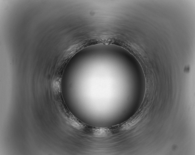 X0000099520432200805221447