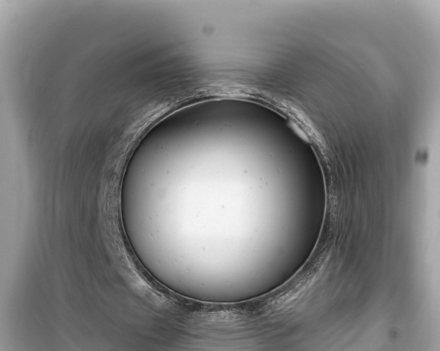 X0000099520433200805221447