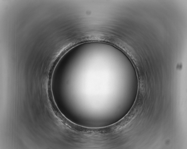 X0000099520434200805221447
