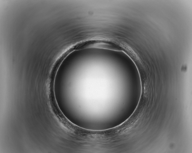 X0000099520436200805221447
