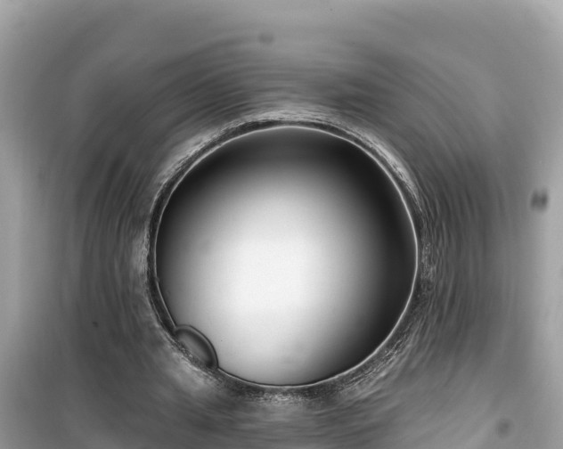 X0000099520437200805221447