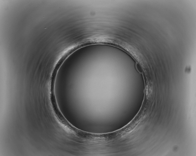 X0000099520438200805221447
