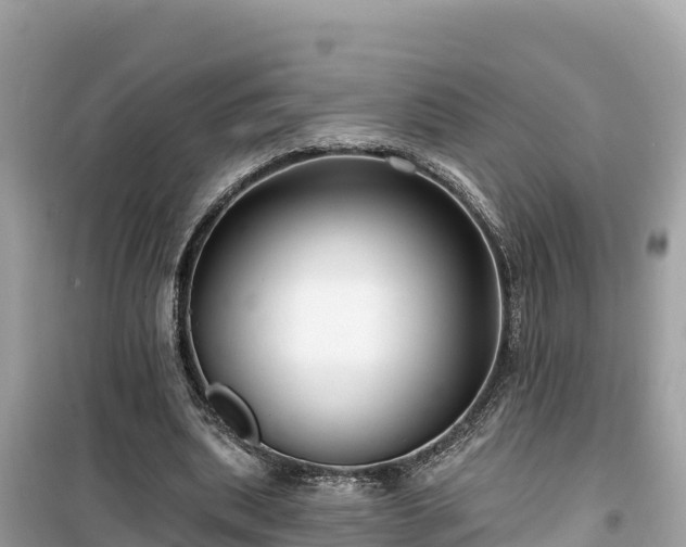 X0000099520439200805221447