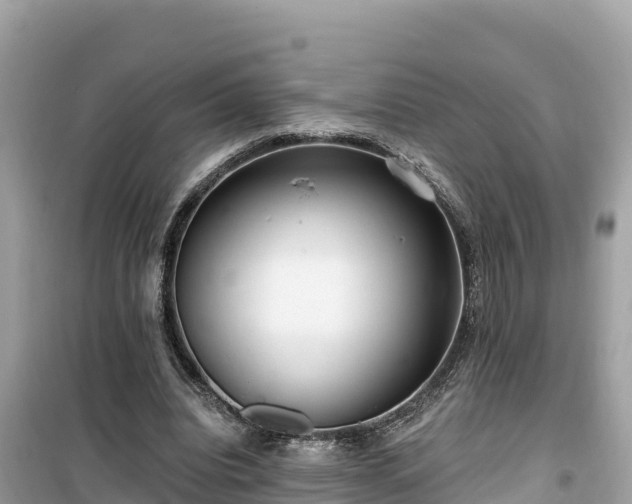 X0000099520440200805221447