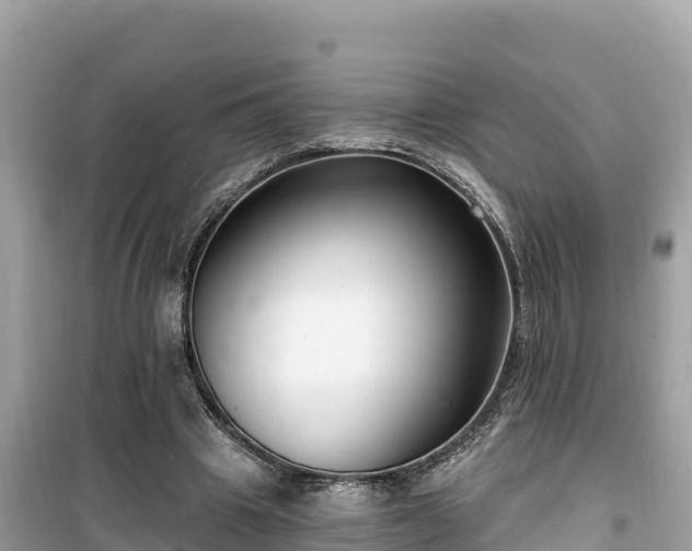 X0000099520441200805221447