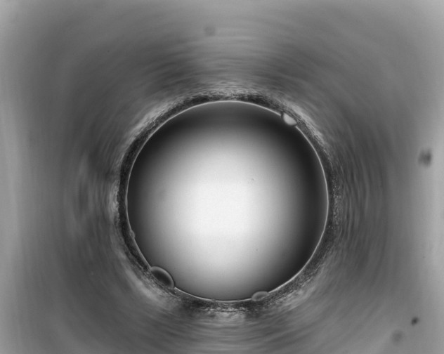 X0000099520443200805221447