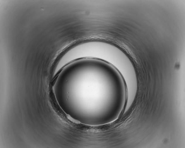 X0000099520444200805221447