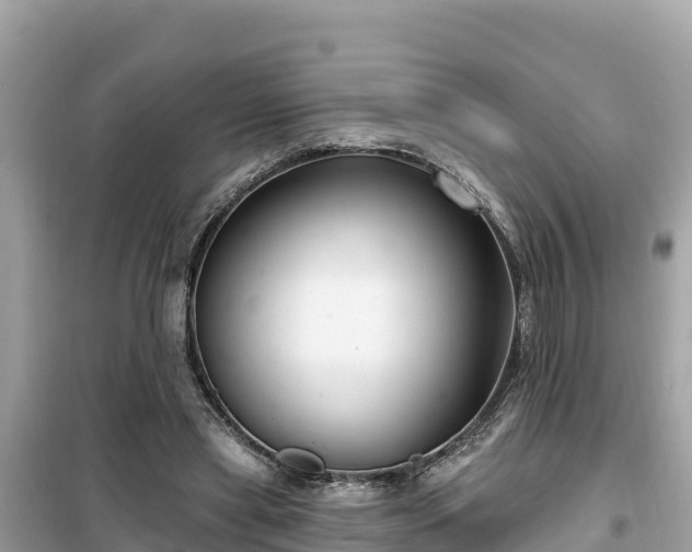 X0000099520445200805221447