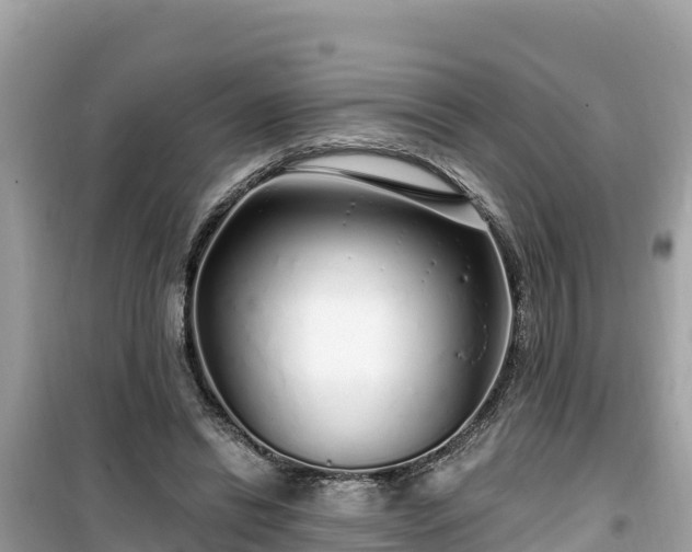 X0000099520446200805221447