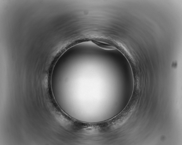 X0000099520447200805221447