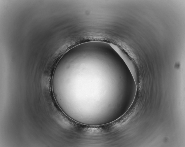 X0000099520449200805221447