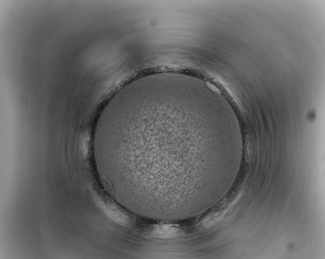 X0000099520451200805221447