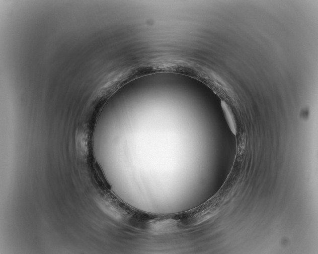 X0000099520452200805221447