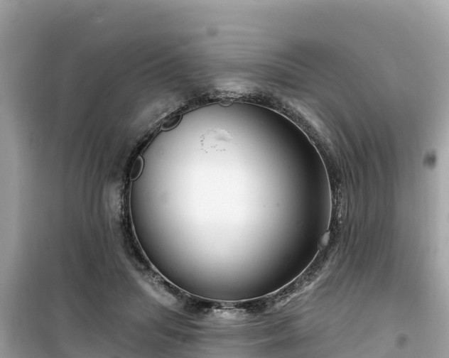 X0000099520455200805221447