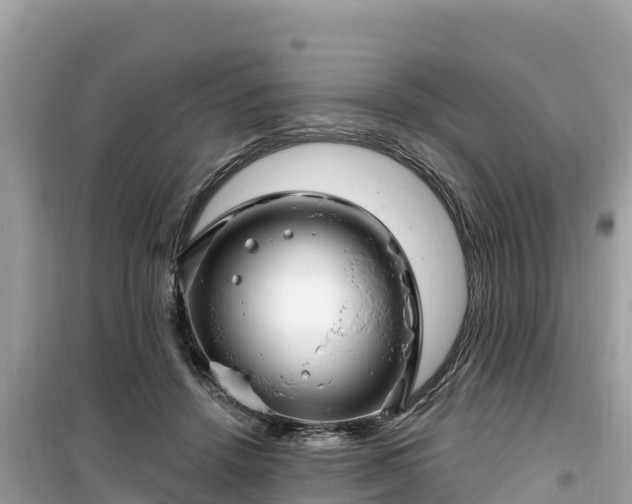 X0000099520456200805221447