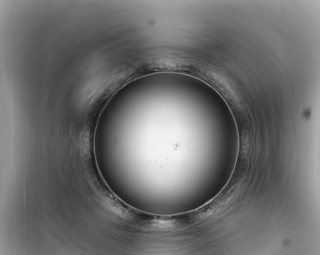 X0000099520457200805221447