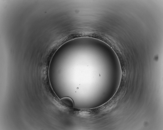 X0000099520462200805221447