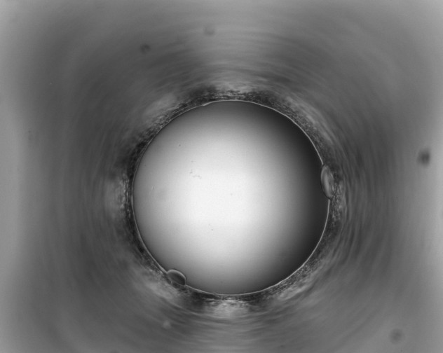 X0000099520463200805221447