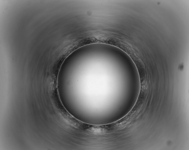 X0000099520464200805221447