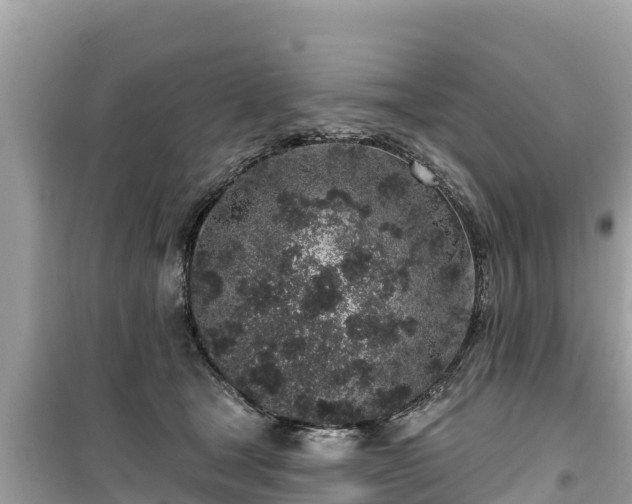 X0000099520465200805221447