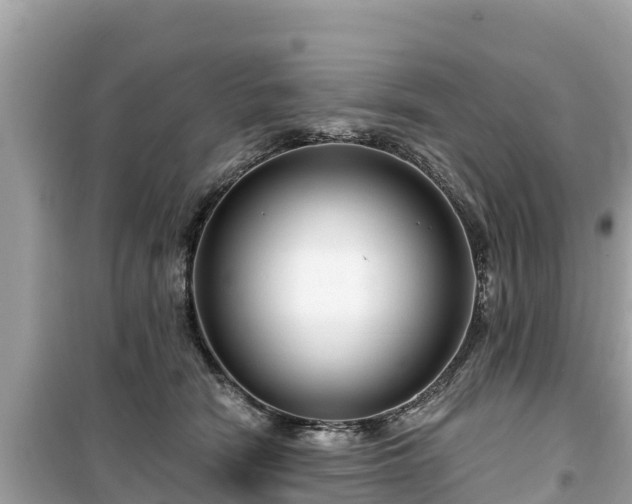 X0000099520466200805221447