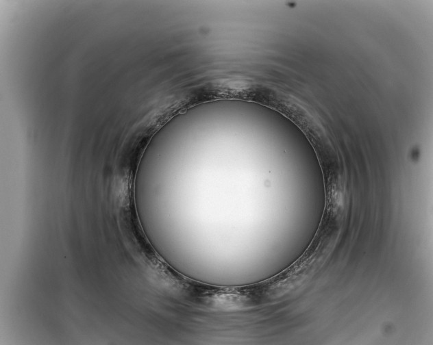 X0000099520468200805221447