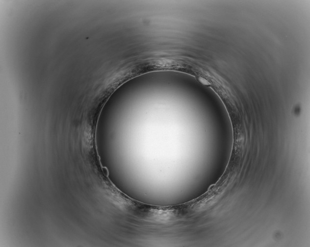 X0000099520469200805221447