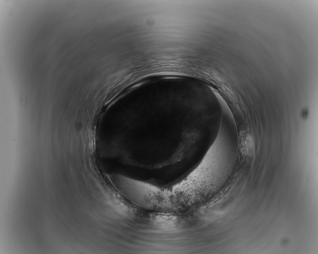 X0000099520471200805221447