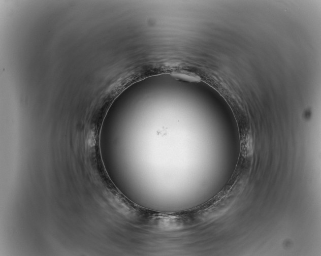 X0000099520472200805221447