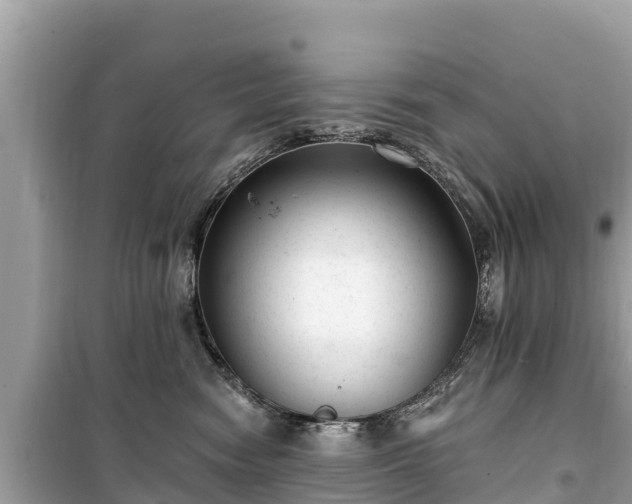 X0000099520474200805221447