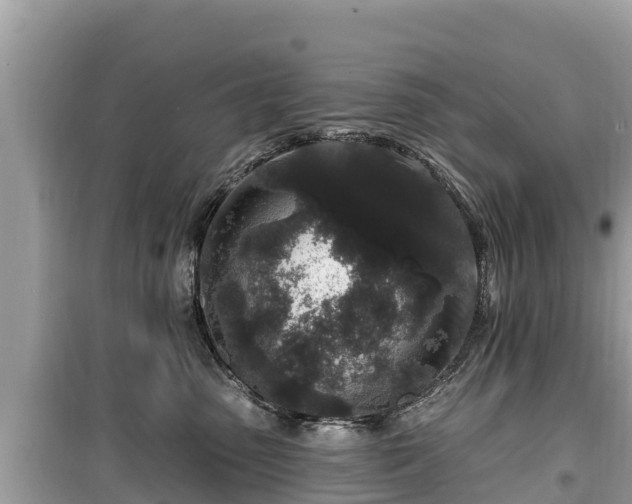 X0000099520475200805221447
