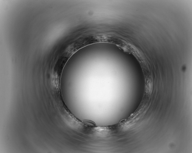 X0000099520477200805221447