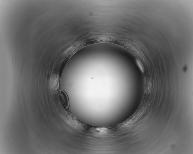 X0000099520478200805221447