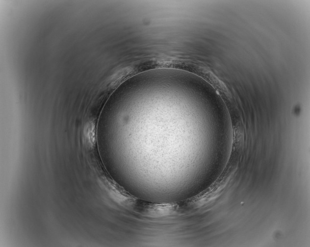 X0000099520479200805221447