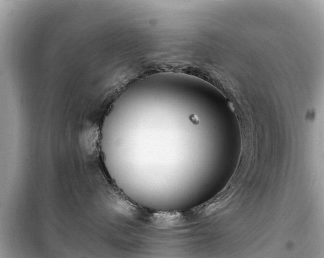 X0000099520480200805221447