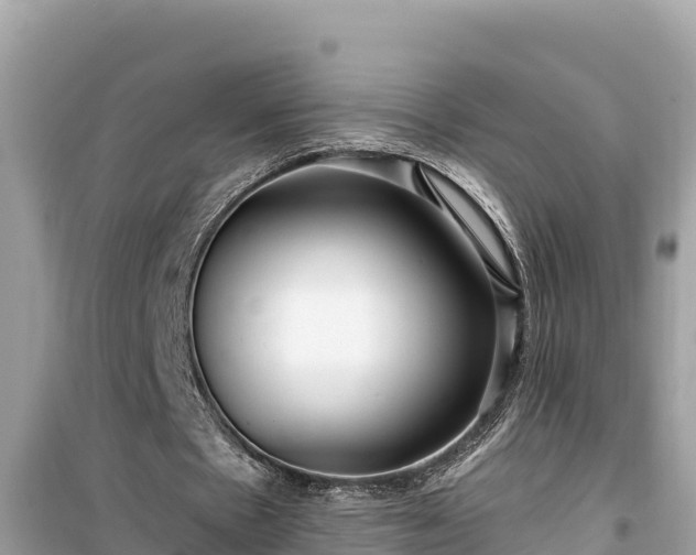 X0000099520481200805221447