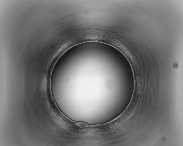 X0000099520482200805221447