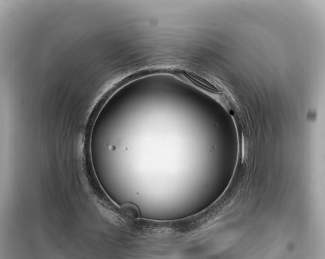 X0000099520483200805221447