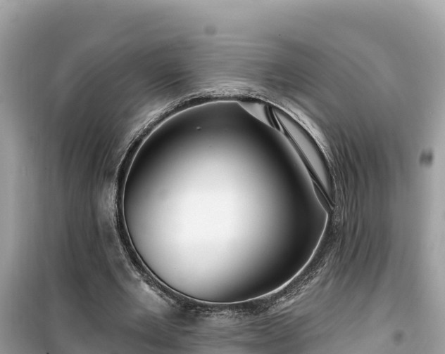 X0000099520485200805221447