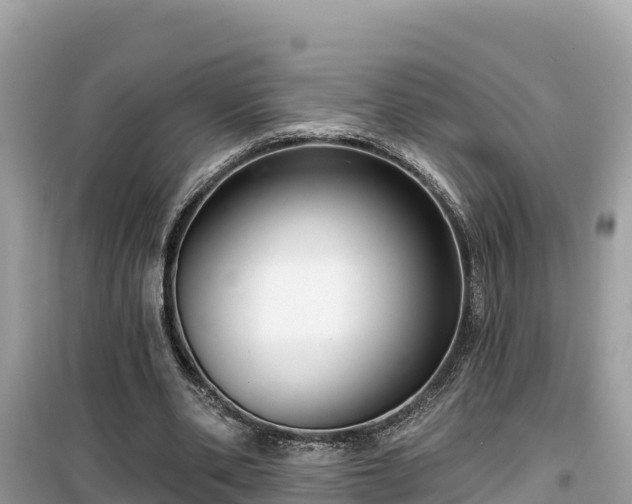 X0000099520486200805221447