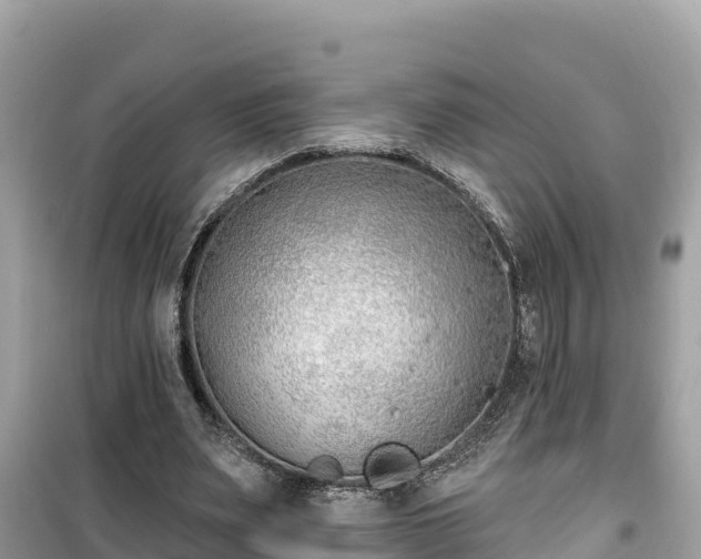 X0000099520487200805221447